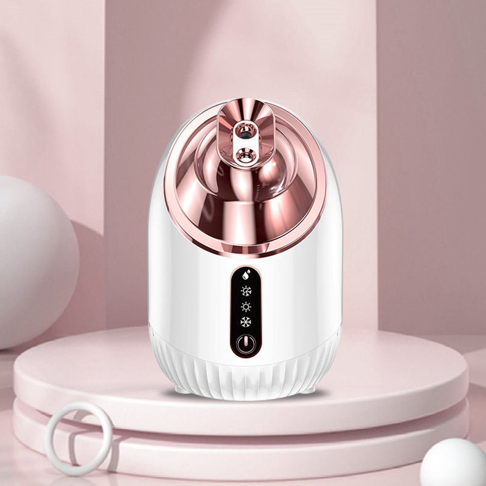 Facial Steamer Cold & Warm Mis - Face Steamer 评论和价格